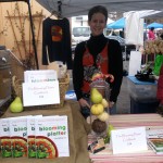 The Blooming Platter (Vegan) Cookbook Oversold at Old Beach Farmer’s Market “Christmas Market 2012”–Thanks to All!