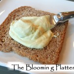 Tofutti Vegan Mayo from The Blooming Platter