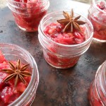 Vegan Fresh Fennel and Cranberry Chutney