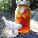 Vegan Quick Fruit Pickles (Like Peaches and Rosemary)–They Sparkle Like Summer