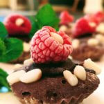 Mini Rasberry-Chocolate Mousse Tarts with GF Crust (vegan & plant-based)